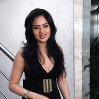 Nikesha Patel - Untitled Gallery | Picture 17718